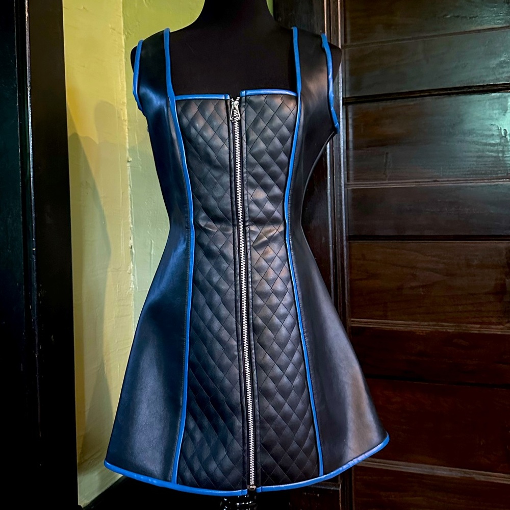 Vintage Lip Service Cyber corset dress